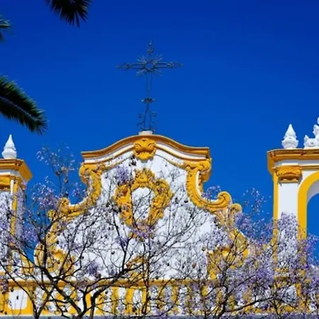 Βίλα Tavirawhithouse